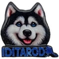 thumbnail image 1 of AK IDITAROD HUSKY W/AK MAGNET, 1 of 2