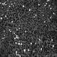 thumbnail image 1 of AK TRADING CO. 54" Wide 100% Polyester Sequins Taffeta Fabric - by The Yard - Perfect for Decor, Home, Event Decor, DIY Arts & Crafts and More. - Black, 5 Yards, 1 of 2