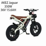 AKEZ 16C 350W 36V Electric Bike for Teen, 16" Fat Tire, 15.6 Ah Removable Battery, 3-Speed, For Teens, Up to 18MPH