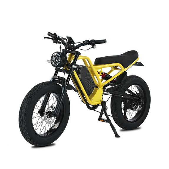 AKEZ Electric Bike for Adults, 48V-52V, 18AH,25AH Battery, 20" Fat Tire Dirt Bike, Retro E-Bike