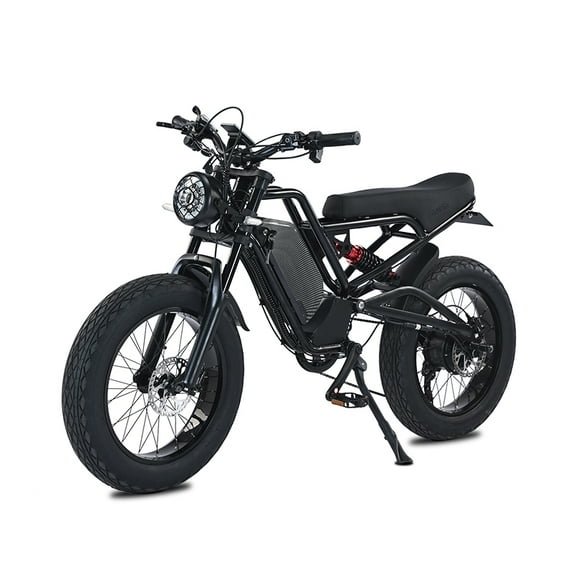 AKEZ Electric Bike for Adults, 48V-52V, 18AH,25AH Battery, 20" Fat Tire Dirt Bike, Retro E-Bike