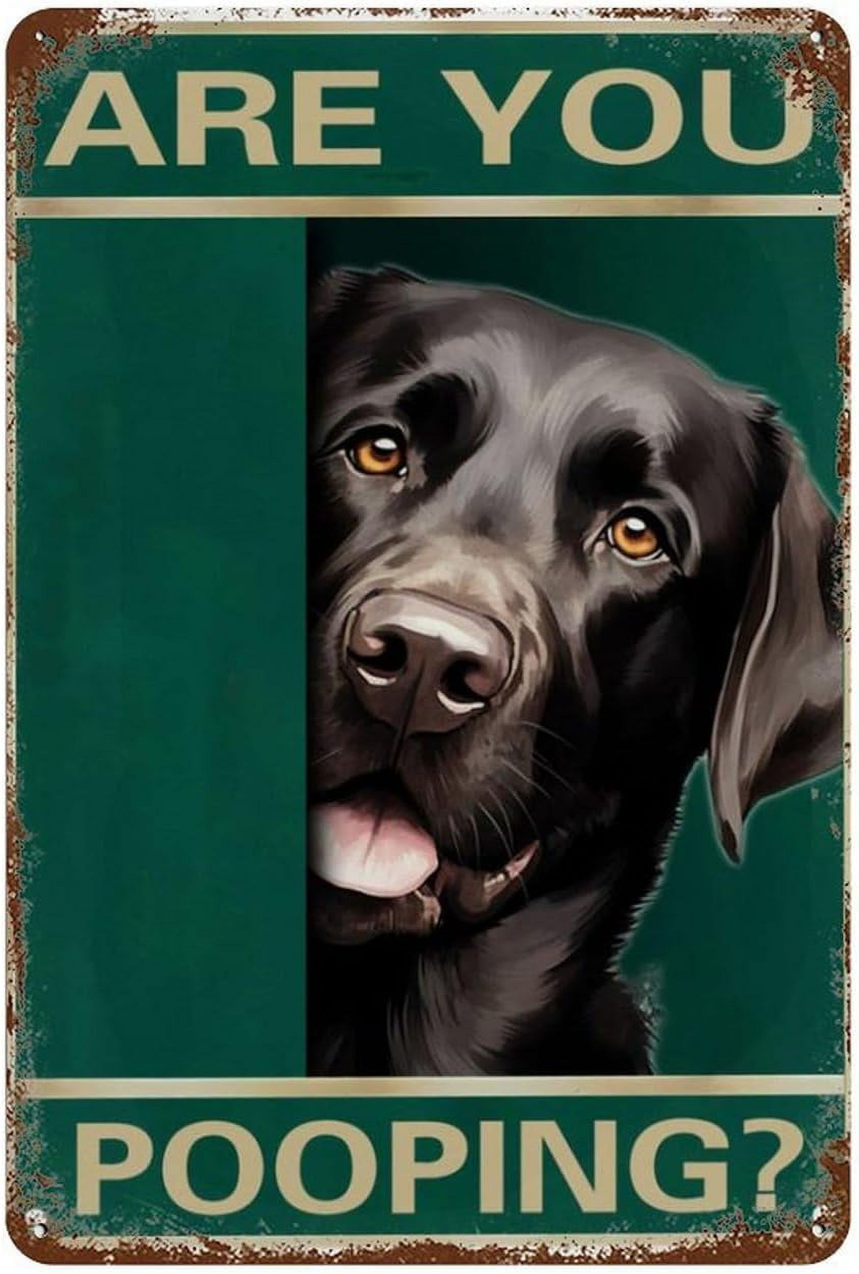 AKFOMEE Labrador Retriever Are You Pooping Jigsaw Puzzle 500 Piece