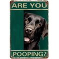 AKFOMEE Labrador Retriever Are You Pooping Jigsaw Puzzle 500 Piece