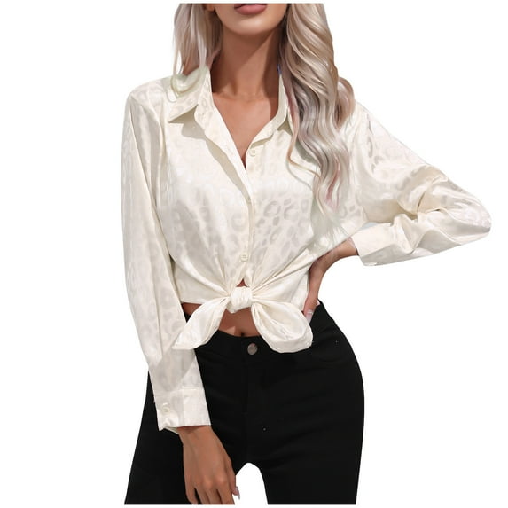 AKOEE Womens Button Down Satin Shirt Office Work Dressy Casual Lapel Collared Shirts Long Sleeve Business Silk Tops (XX-Large, Beige 02)