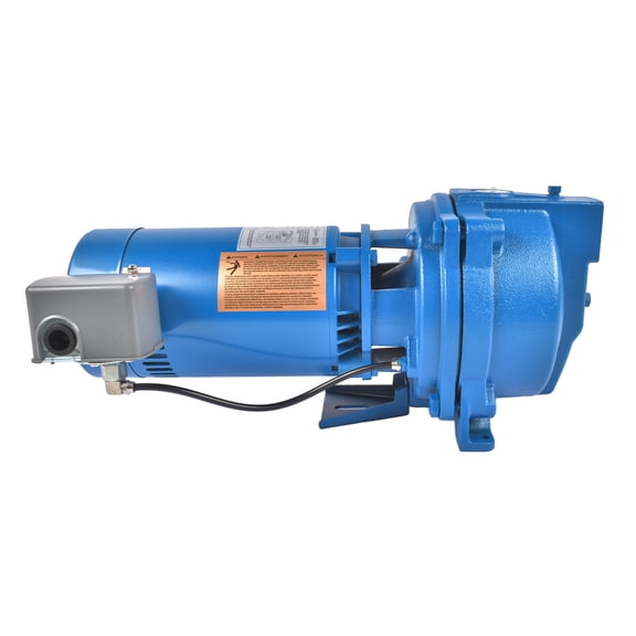AKWH J10S 1HP Shallow Well Jet Pump 115/230 V 60 Hz Single Phase 3500 RPM Cast Iron