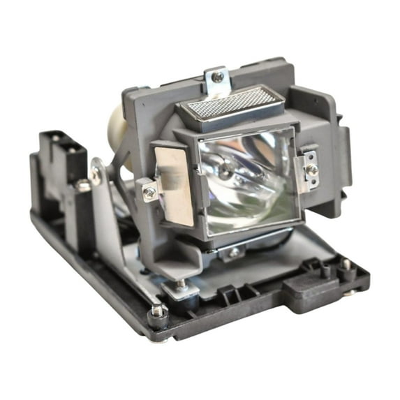 Advanced Lamps™ 5811100876-S Lamp & Housing for Vivitek Projectors Fits 5811100876-SVK D825MX-Plus D832MX D835 D837 90-Day Warranty 1 Unit per pack
