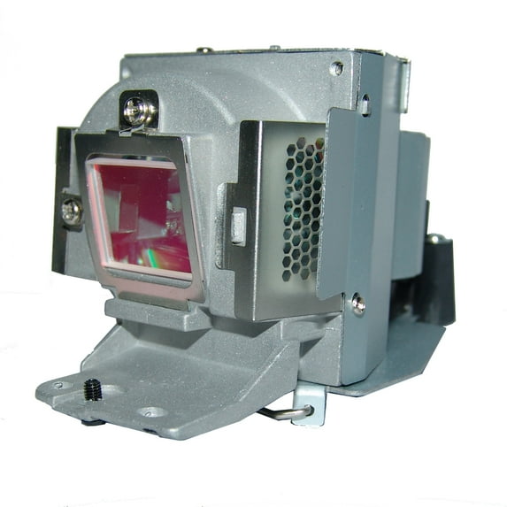 Advanced Lamps™ 5J.J4105.001 Lamp & Housing for BenQ Projectors - 1 Unit per pack