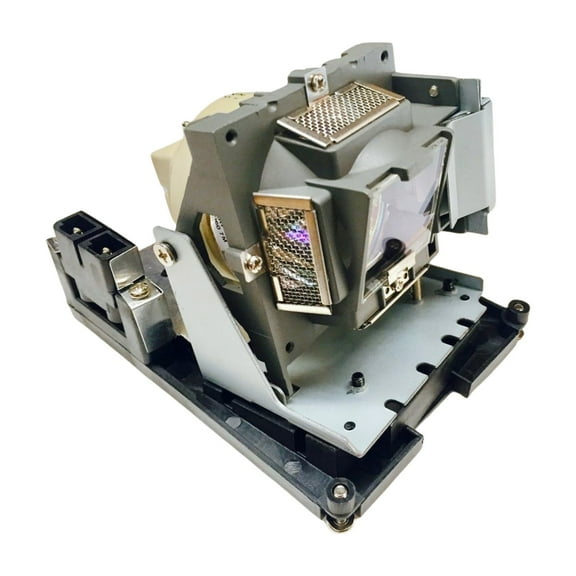Advanced Lamps Lamp & Housing for The BenQ SW916 Projector - 1 Unit per pack