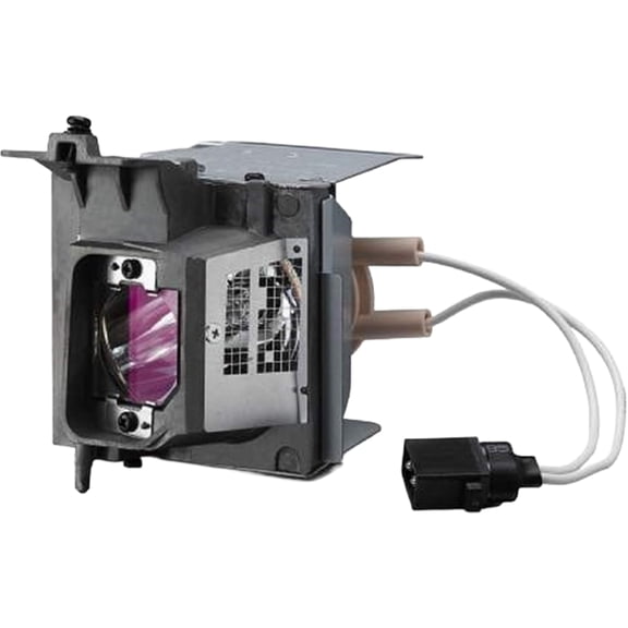 Advanced Lamps™ Lamp & Housing for The Dell 4350 Projector - 1 Unit per pack