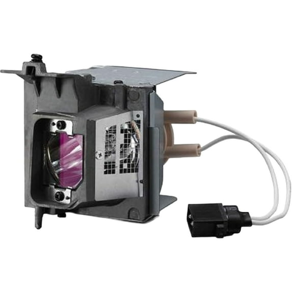 Advanced Lamps™ Lamp & Housing for The Dell 4350 Projector - 1 Unit per pack