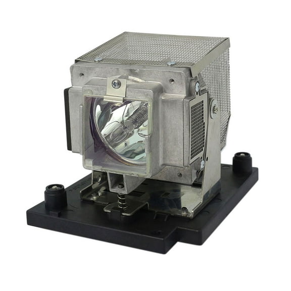 Advanced Lamps Lamp & Housing for The Eiki EIP-5000L-R Projector - 180 - 1 Unit per pack