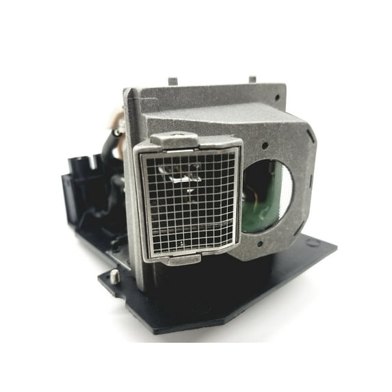 Advanced Lamps™ Lamp & Housing for The Optoma DP7290 Projector - 1 Unit per pack