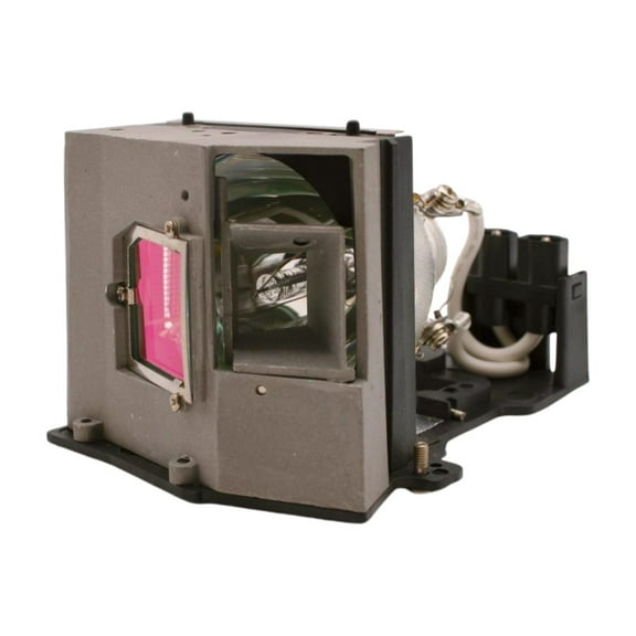 Advanced Lamps™ Lamp & Housing for The Viewsonic PJ755D Projector - 1 Unit per pack