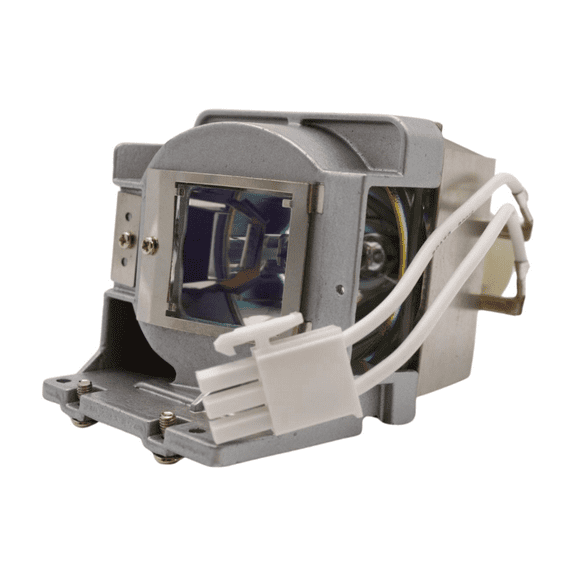 Advanced Lamps™ Lamp & Housing for the Viewsonic PJD6552W Projector - 1 Unit Per Pack