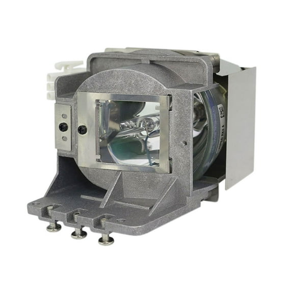 Advanced Lamps™ RLC-081 Lamp & Housing for Viewsonic Projectors Fits PJD7333, PJD7533W, RLC-081 & More 90-Day Warranty 1 Unit per pack