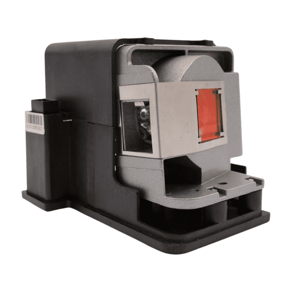 Advanced Lamps™ SP LAMP058 Lamp & Housing for Infocus Projectors Fits HDs3D-1 IN3110 IN3114 IN3116 SP LAMP058 & More 90-Day Warranty 1 Unit per pack