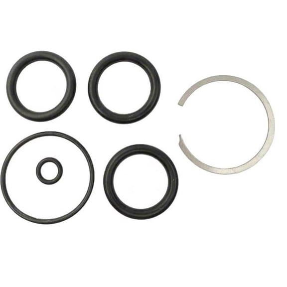 ALA-PT APCO2191 Starite O-Ring Kit