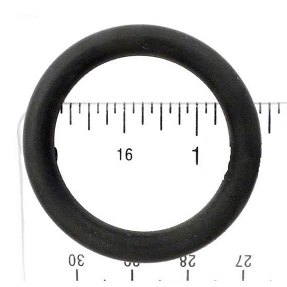 ALA-PT  Brass Piston O-Ring