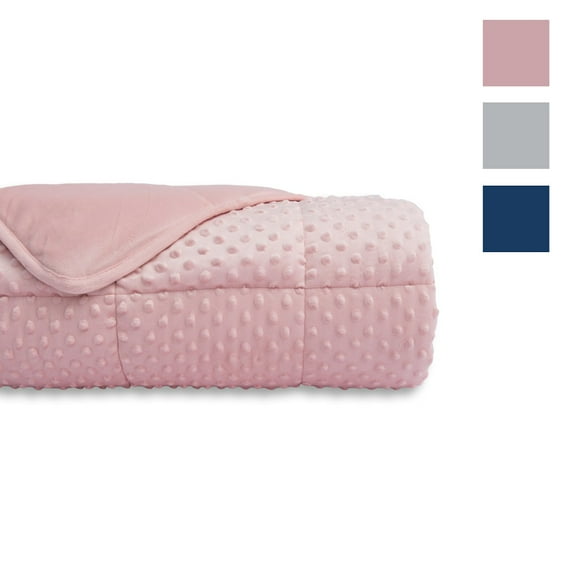 ALANSMA Reversible Weighted Blanket for All Season, Warm and Cool, Luxury Minky Velvet, Enjoy Sleeping Anywhere(Pink,15Lb)