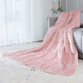 ALANSMA Weighted Blanket for All Season, Luxury Velvet, Warm and Cool, Adult Kids Reversible 10Lb Weighted Blanket, Enjoy Sleeping Anywhere(Pink,10Lb)