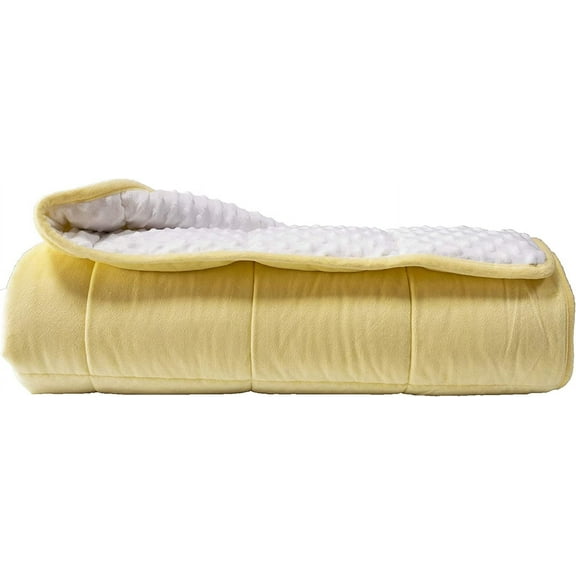 ALANSMA Weighted Blanket for All Season, Luxury Velvet, Warm and Cool, Adult Kids Reversible 10Lb Weighted Blanket, Enjoy Sleeping Anywhere(Yellow, 48''x72''10lbs)