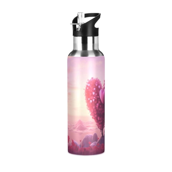 ALAZA Beautiful Heart Pattern Water Bottle Insulated Flask Stainless Steel Straw Lid 20 oz