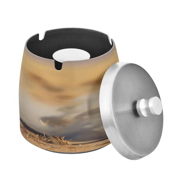 ALAZA Cigar Ashtray with Lid Cheetah Leopard Running Ash Tray for Cigarettes Smokeless Ashtrays