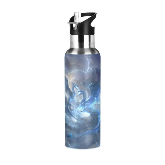 ALAZA Cool Dragons Water Bottle Insulated Flask Stainless Steel Straw Lid 20 oz