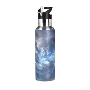 ALAZA Cool Dragons Water Bottle Insulated Flask Stainless Steel Straw Lid 20 oz