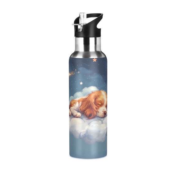 ALAZA Cute Dog Sleeping in Magic Cloud Water Bottle Insulated Flask Stainless Steel Straw Lid 20 oz
