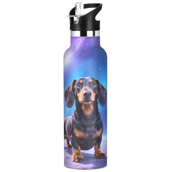 ALAZA Dachshund Dog Space Pattern Stainless Steel Water Bottle Vacuum Insulated Leak-Proof Tumbler with Straw Handle 20oz