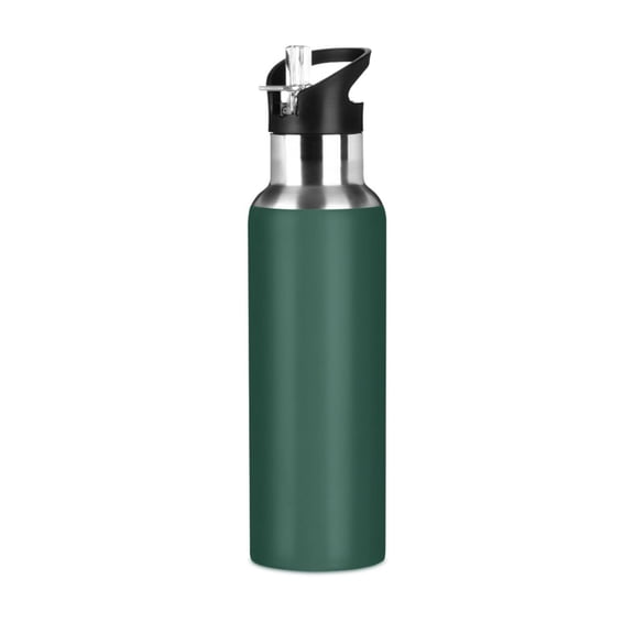 ALAZA Dark Green Paint Water Bottle Insulated Flask Stainless Steel Straw Lid 20 oz