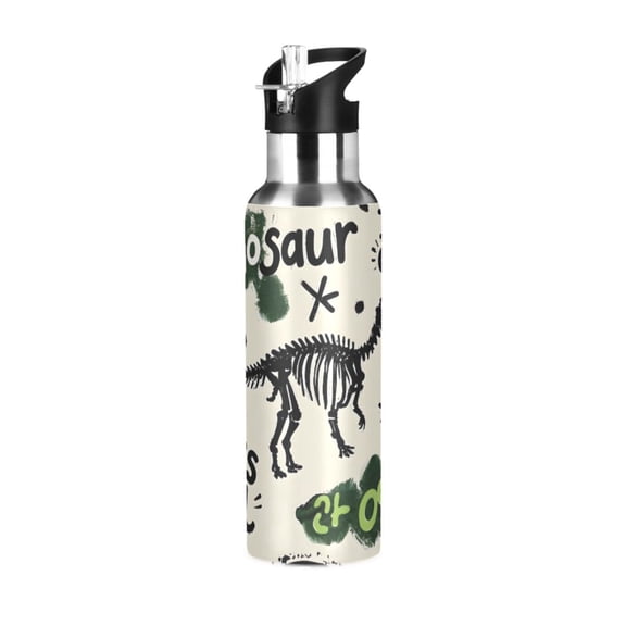 ALAZA Dinosaur Graffiti Water Bottle Insulated Flask Stainless Steel Straw Lid 20 oz