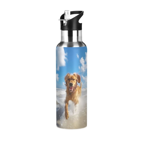 ALAZA Dog Play on Beach Water Bottle Insulated Flask Stainless Steel Straw Lid 20 oz