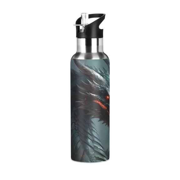 ALAZA Dragon Cool Water Bottle Insulated Flask Stainless Steel Straw Lid 20 oz