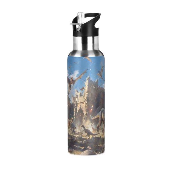 ALAZA Dragons Water Bottle Insulated Flask Stainless Steel Straw Lid 20 oz