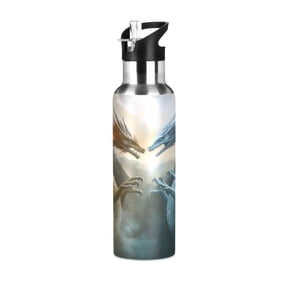 ALAZA Dragons Water Bottle Insulated Flask Stainless Steel Straw Lid 20 oz