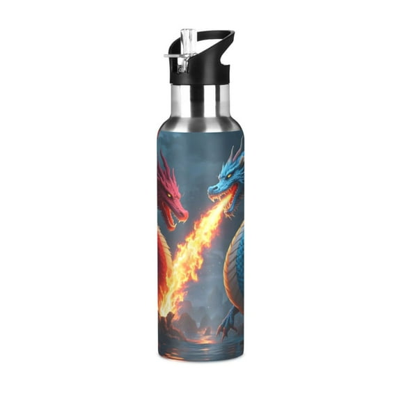 ALAZA Dragons with Fire Water Bottle Insulated Flask Stainless Steel Straw Lid 20 oz
