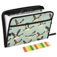ALAZA Expanding File Folder 13 Pockets Accordion Document Organizer ...
