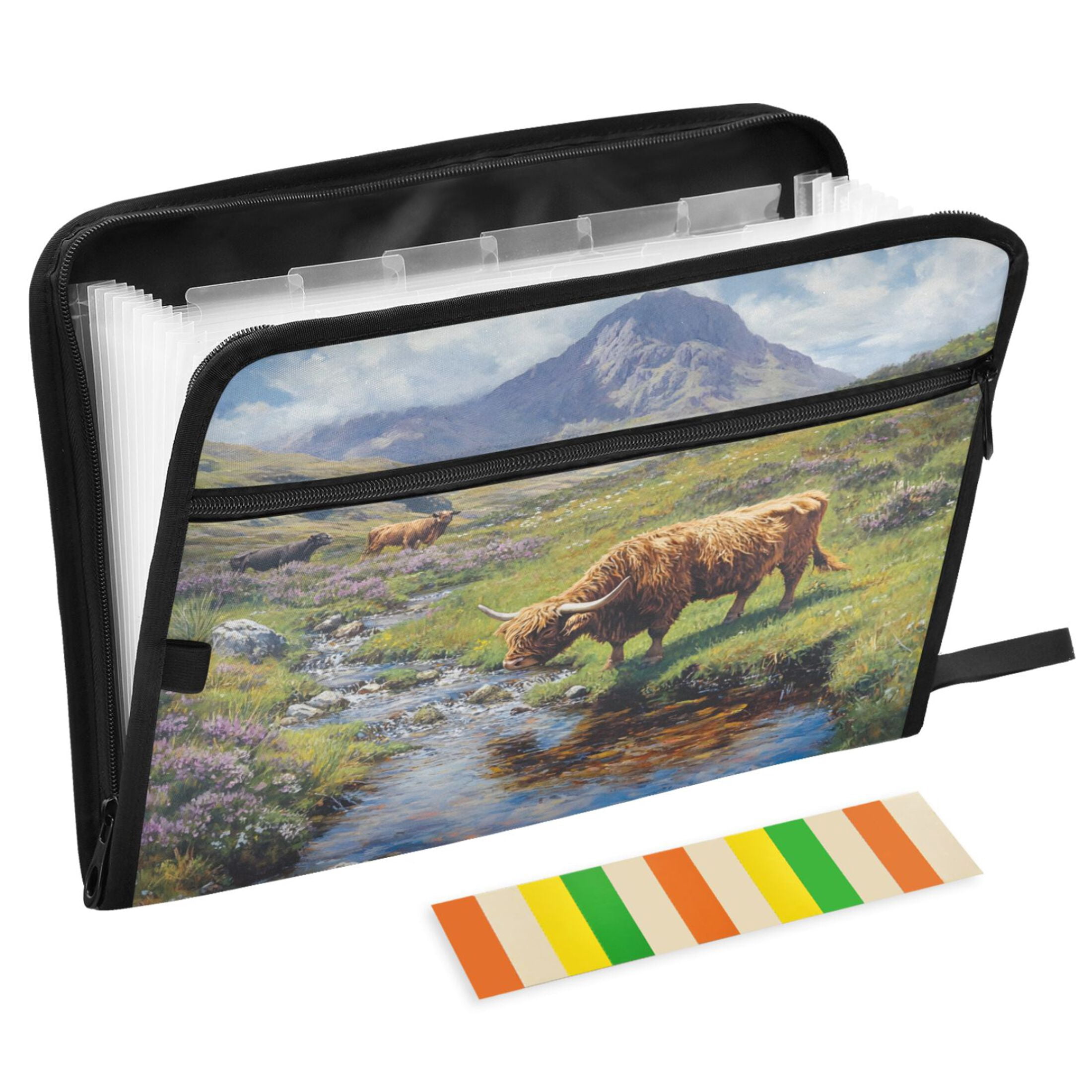ALAZA Expanding File Folder 13 Pockets Accordion Document Organizer ...