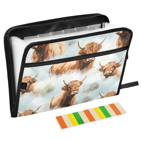 ALAZA Expanding File Folder 13 Pockets Accordion Document Organizer ...