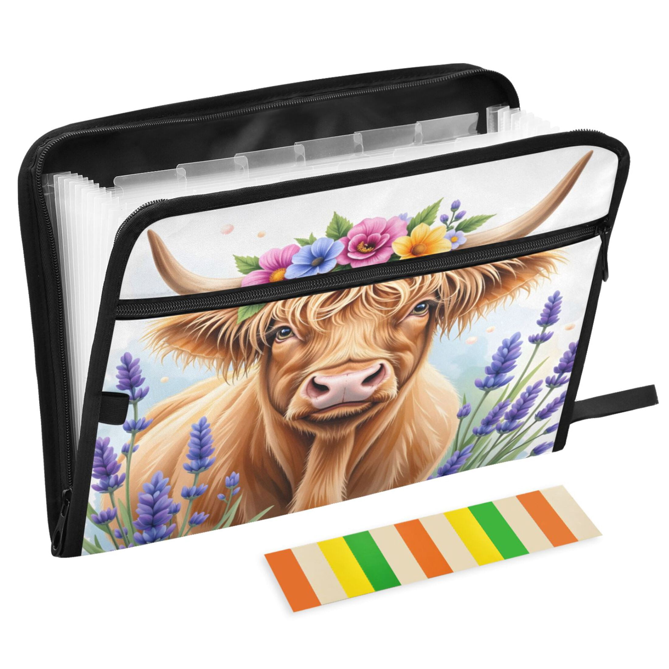 ALAZA Expanding File Folder 13 Pockets Accordion Document Organizer ...