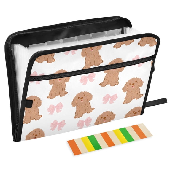 ALAZA Expanding File Folder 13 Pockets Accordion Document Organizer ...