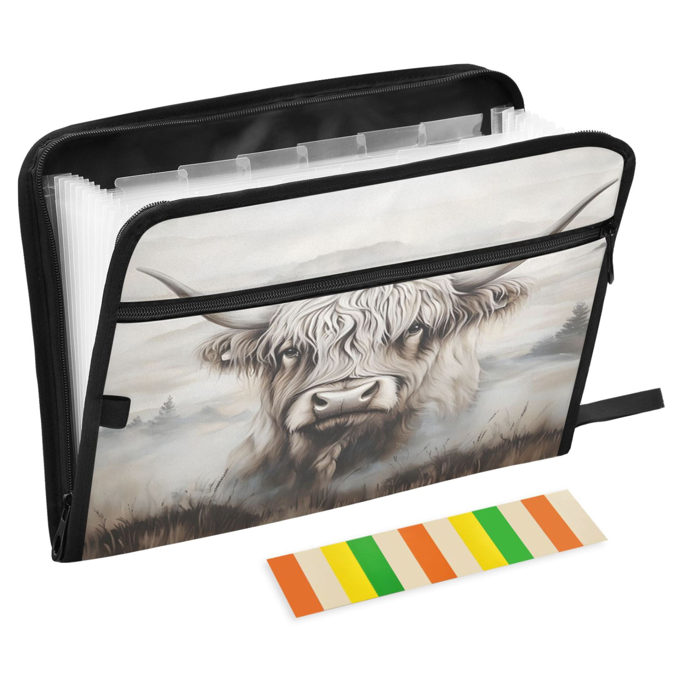 ALAZA Expanding File Folder 13 Pockets Accordion Document Organizer ...