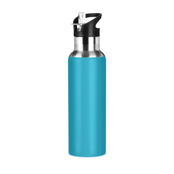 ALAZA Light Green Paint Water Bottle Insulated Flask Stainless Steel Straw Lid 20 oz