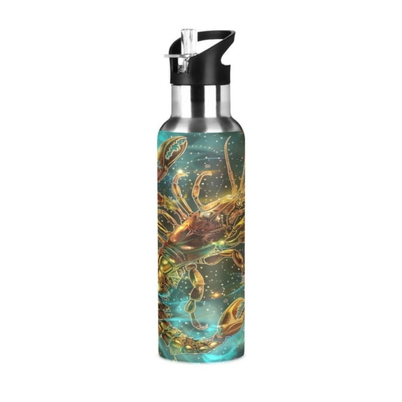 ALAZA Magic Scorpio Zodiac Water Bottle Insulated Flask Stainless Steel Straw Lid 20 oz