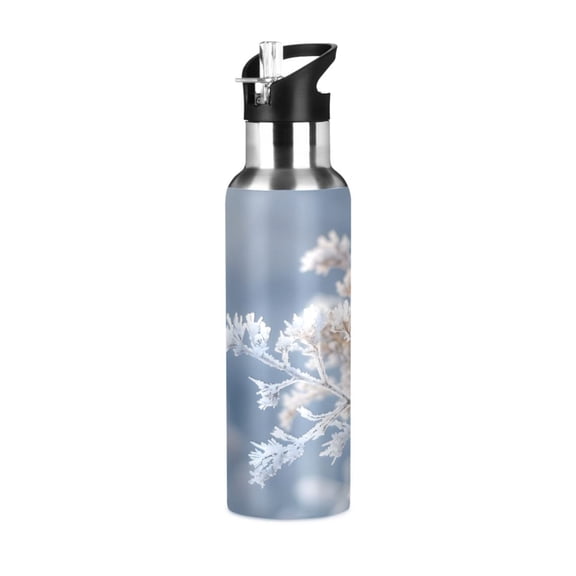 ALAZA Snowflake in Winter Water Bottle Insulated Flask Stainless Steel Straw Lid 20 oz