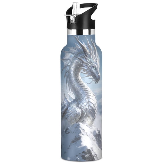 ALAZA Winter Dragon Pattern Stainless Steel Water Bottle Vacuum Insulated Leak-Proof Tumbler with Straw Handle 20oz
