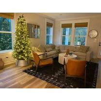 ALEF HOME Tribal Art Deco Tufted Black & White Bohemian Area Rug, 5x8 ft, Quick Dry