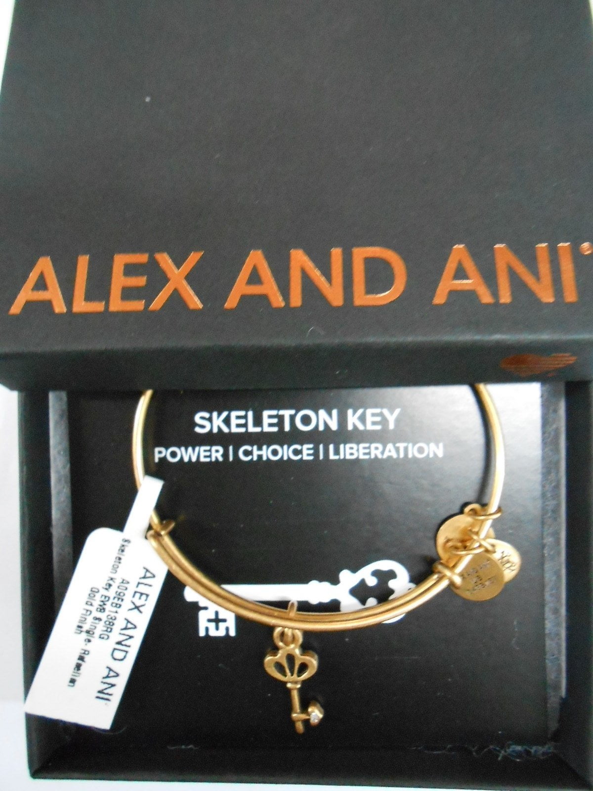 Alex and ani shop hair stylist bracelet